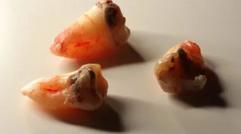 Фото из галереи №3