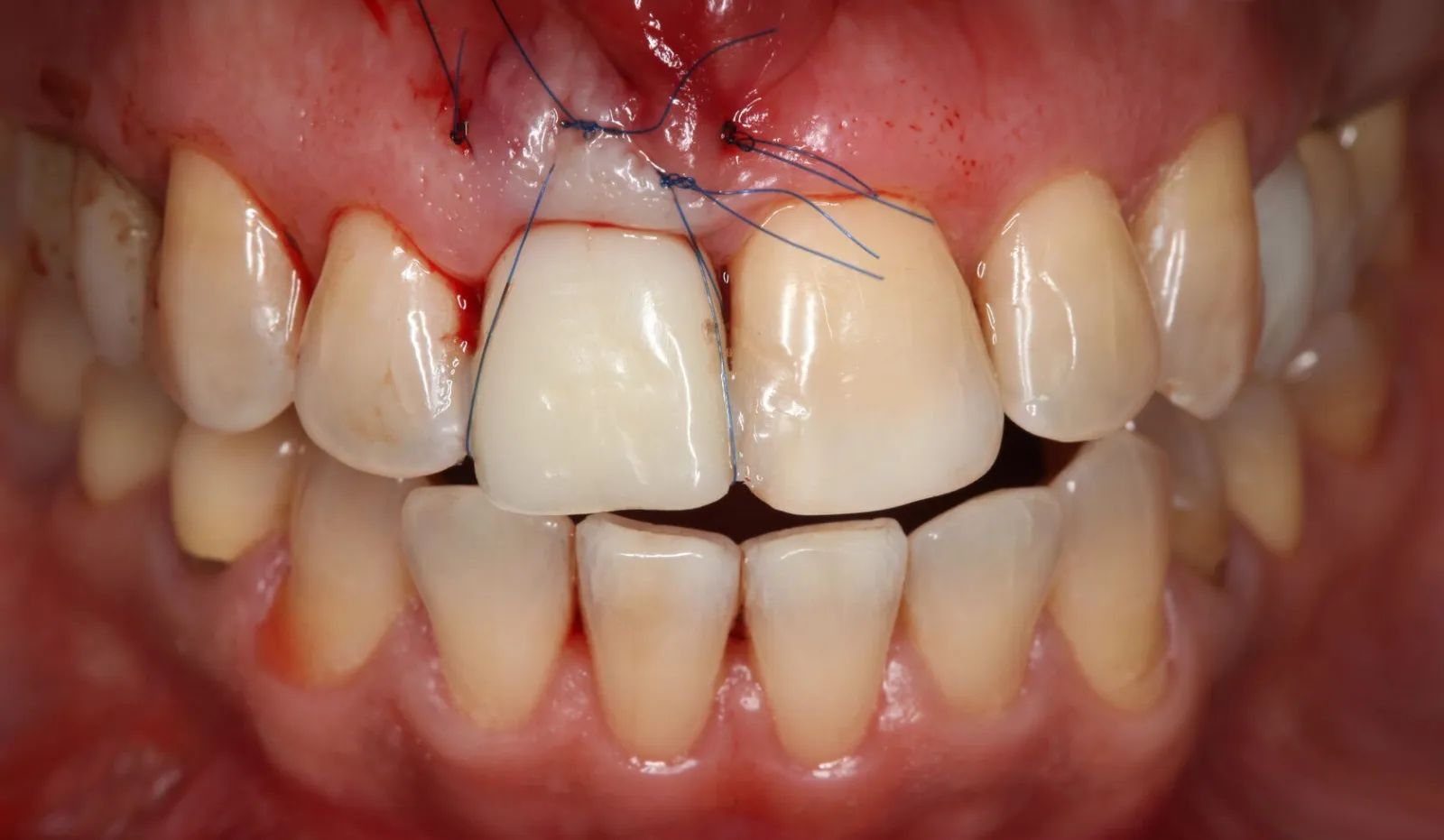 Фото из галереи №3