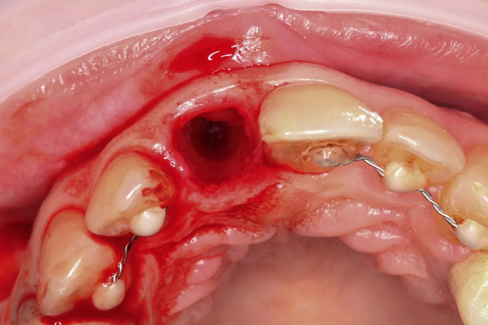 Фото из галереи №1