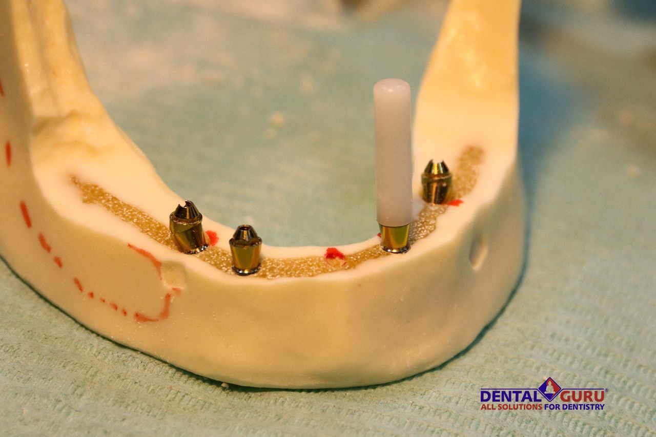 Фото из галереи №1