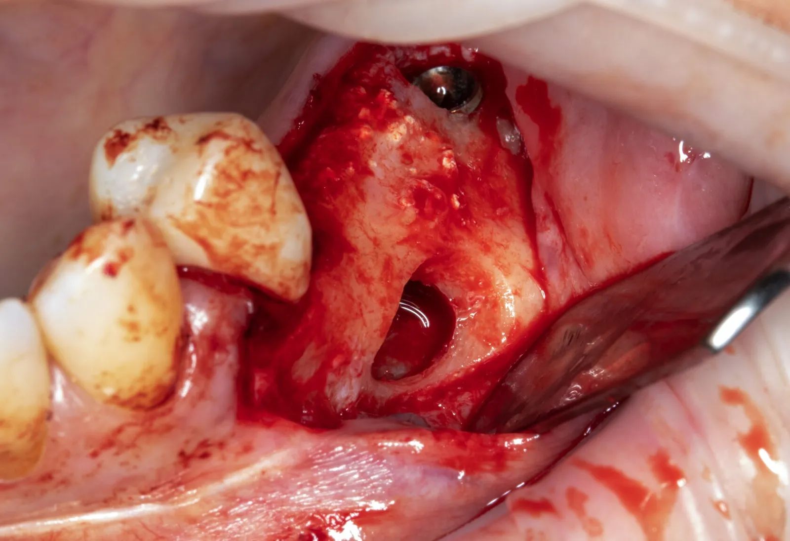 Фото из галереи №4