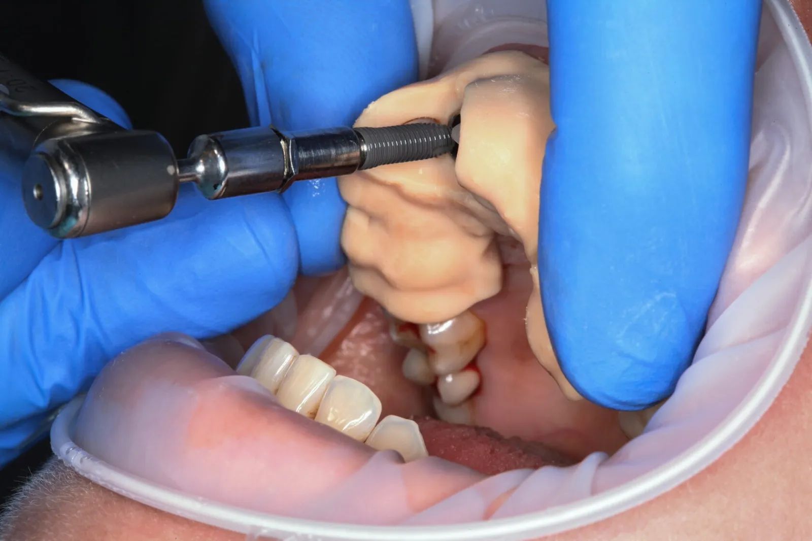 Фото из галереи №2