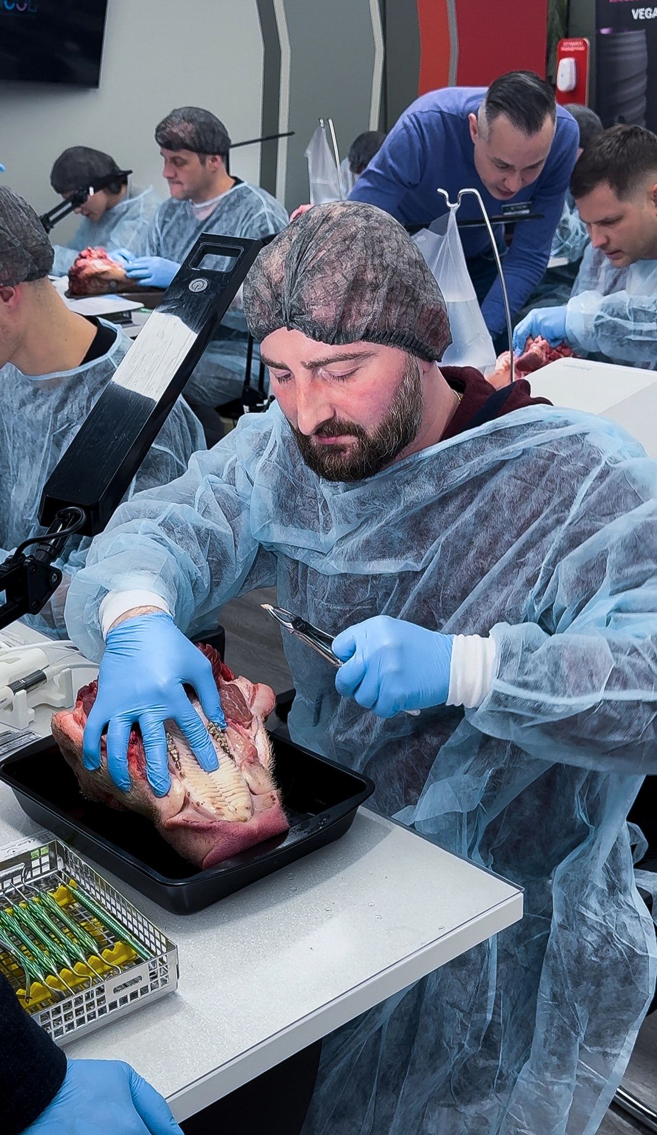 Фотоотчет курса №0