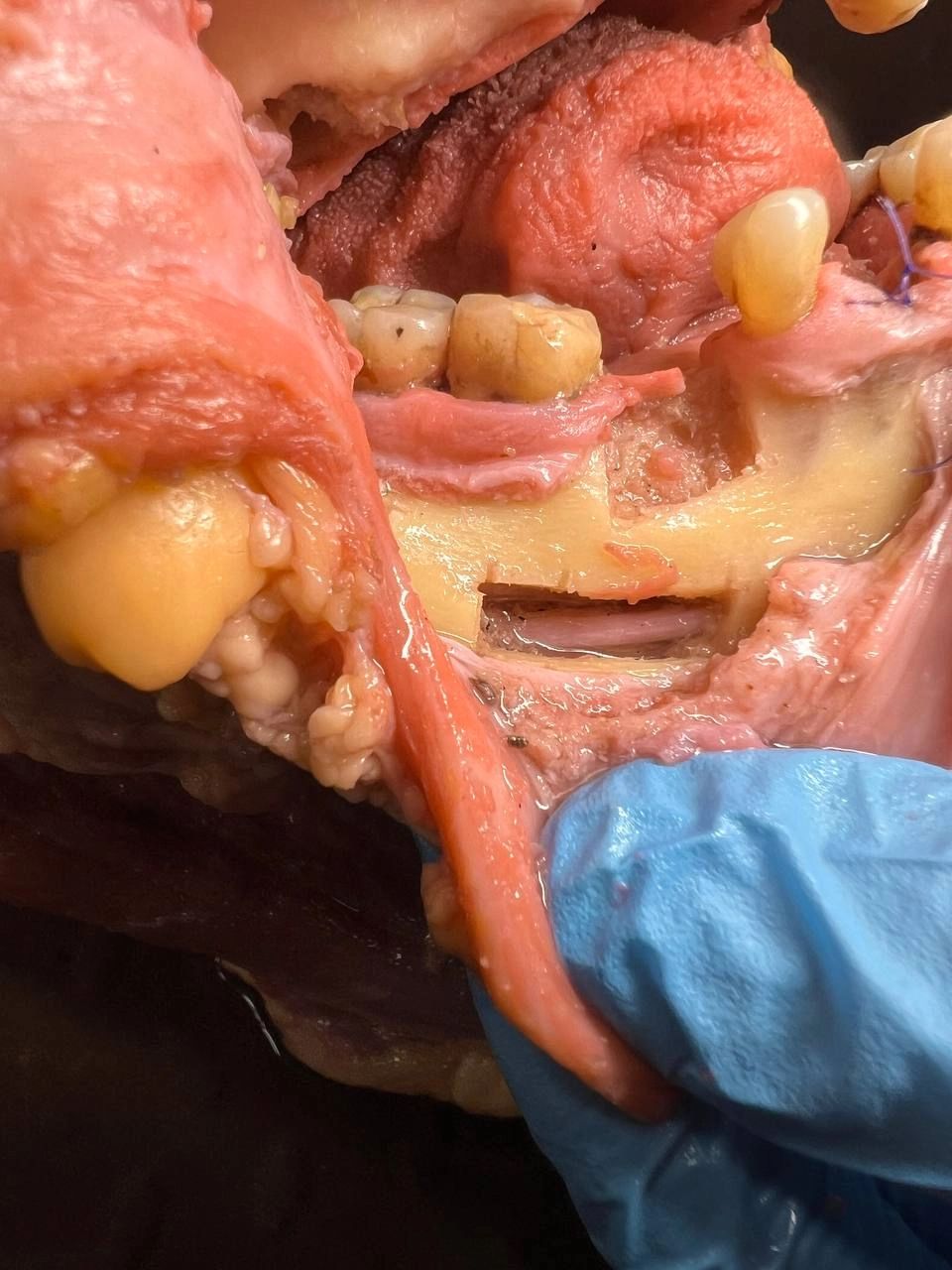 Фотоотчет курса №0