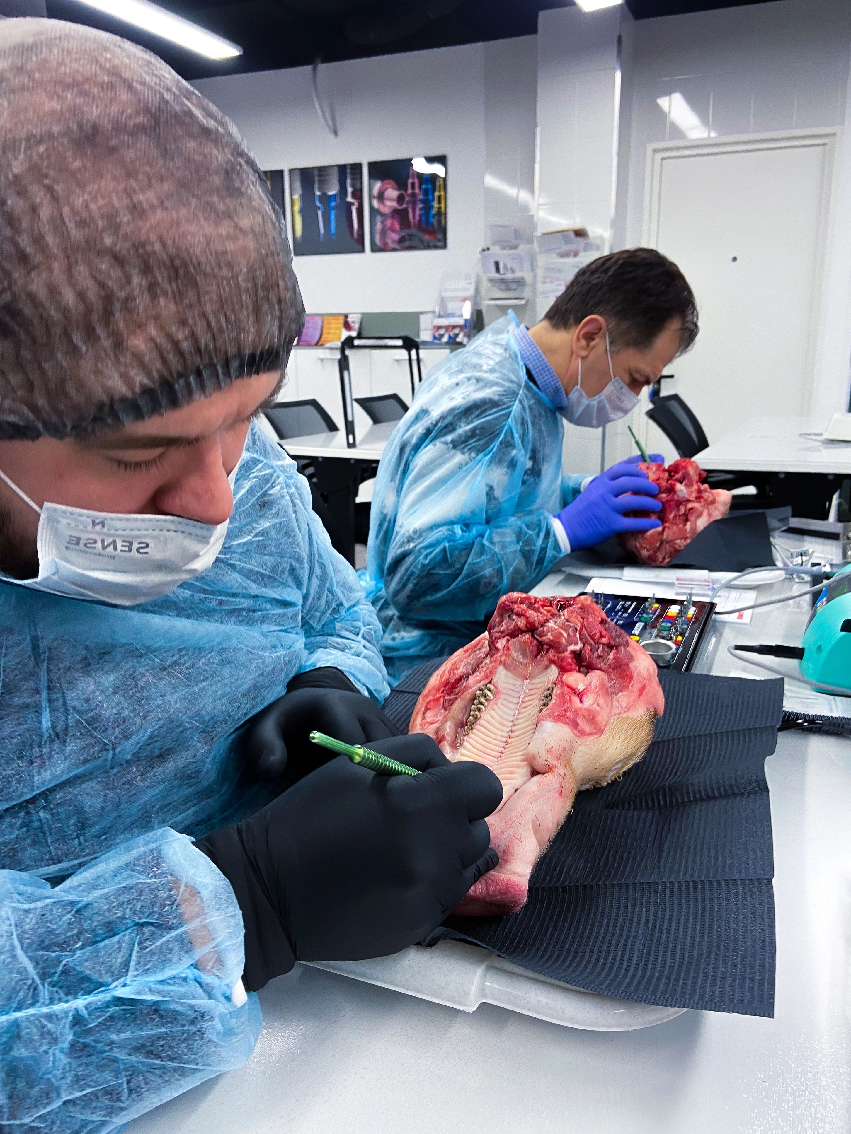 Фотоотчет курса №1