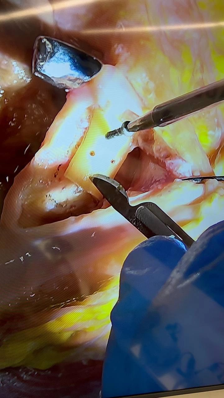 Фотоотчет курса №5