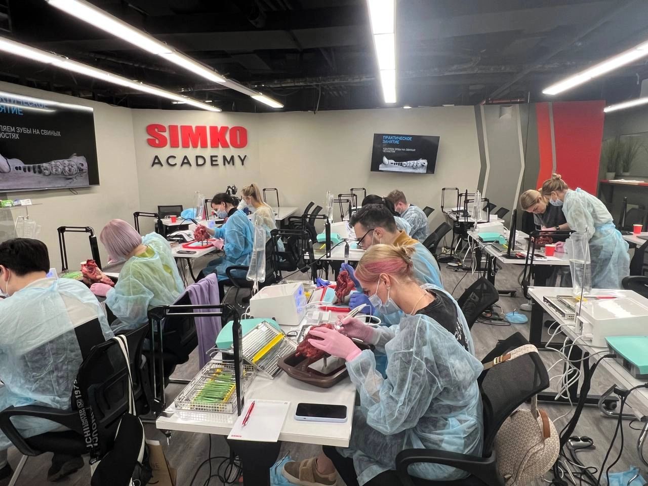 Фотоотчет курса №1